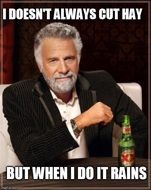 The Most Interesting Man In The World | I DOESN'T ALWAYS CUT HAY BUT WHEN I DO IT RAINS | image tagged in memes,the most interesting man in the world | made w/ Imgflip meme maker