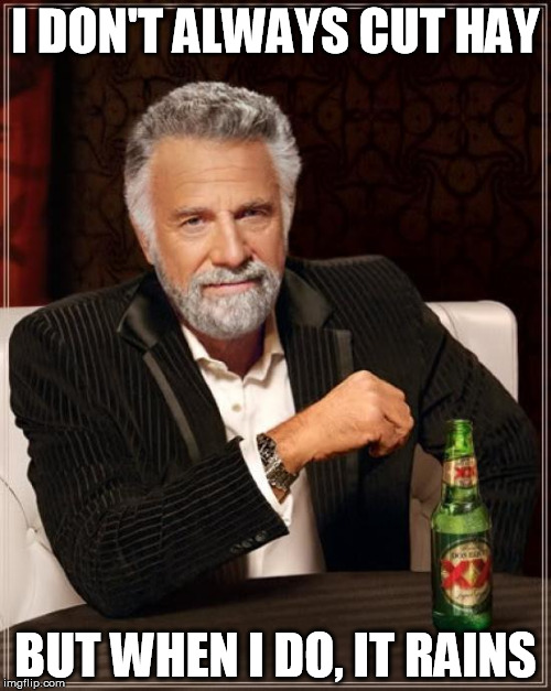 The Most Interesting Man In The World Meme | I DON'T ALWAYS CUT HAY BUT WHEN I DO, IT RAINS | image tagged in memes,the most interesting man in the world | made w/ Imgflip meme maker