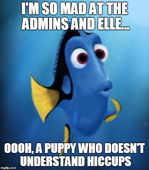 Easily Distracted  | I'M SO MAD AT THE ADMINS AND ELLE... OOOH, A PUPPY WHO DOESN'T UNDERSTAND HICCUPS | image tagged in easily distracted  | made w/ Imgflip meme maker
