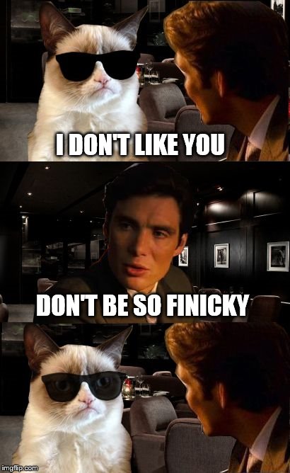 Grumpy Cat stare | I DON'T LIKE YOU DON'T BE SO FINICKY | image tagged in memes,grumpy cat,inception | made w/ Imgflip meme maker