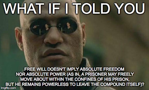 Matrix Morpheus Meme | WHAT IF I TOLD YOU FREE WILL DOESN'T IMPLY ABSOLUTE FREEDOM NOR ABSOLUTE POWER (AS IN, A PRISONER MAY FREELY MOVE ABOUT WITHIN THE CONFINES  | image tagged in memes,matrix morpheus | made w/ Imgflip meme maker