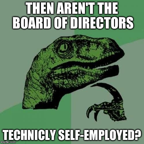 Philosoraptor Meme | THEN AREN'T THE BOARD OF DIRECTORS TECHNICLY SELF-EMPLOYED? | image tagged in memes,philosoraptor | made w/ Imgflip meme maker