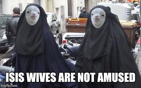 ISIS WIVES ARE NOT AMUSED | made w/ Imgflip meme maker