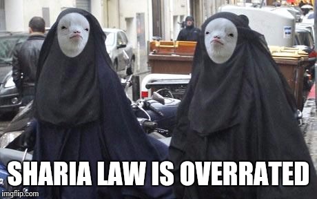 SHARIA LAW IS OVERRATED | made w/ Imgflip meme maker