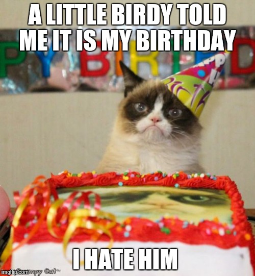 Grumpy Cat Birthday | A LITTLE BIRDY TOLD ME IT IS MY BIRTHDAY I HATE HIM | image tagged in memes,grumpy cat birthday | made w/ Imgflip meme maker
