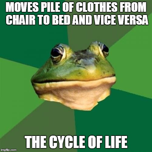The Cycle of Life | MOVES PILE OF CLOTHES FROM CHAIR TO BED AND VICE VERSA THE CYCLE OF LIFE | image tagged in memes,foul bachelor frog,cycle of life | made w/ Imgflip meme maker