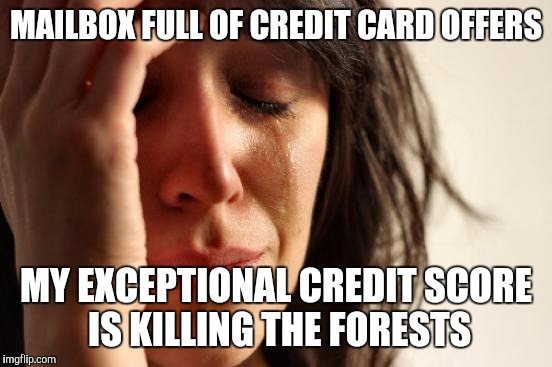 First World Problems | MAILBOX FULL OF CREDIT CARD OFFERS MY EXCEPTIONAL CREDIT SCORE IS KILLING THE FORESTS | image tagged in memes,first world problems | made w/ Imgflip meme maker