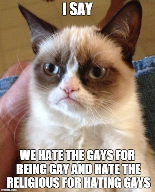 Grumpy Cat Meme | I SAY WE HATE THE GAYS FOR BEING GAY AND HATE THE RELIGIOUS FOR HATING GAYS | image tagged in memes,grumpy cat | made w/ Imgflip meme maker