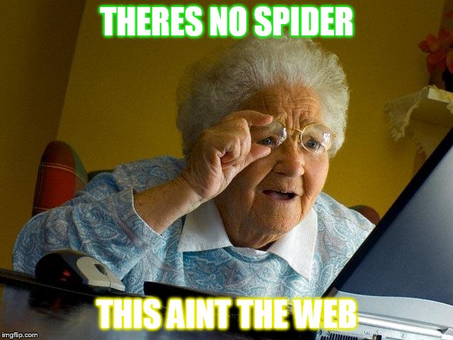 Grandma Finds The Internet | THERES NO SPIDER THIS AINT THE WEB | image tagged in memes,grandma finds the internet | made w/ Imgflip meme maker