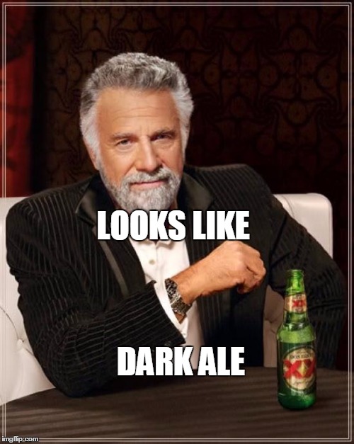 The Most Interesting Man In The World Meme | LOOKS LIKE DARK ALE | image tagged in memes,the most interesting man in the world | made w/ Imgflip meme maker