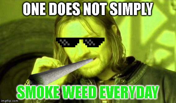 ONE DOES NOT SIMPLY SMOKE WEED EVERYDAY | image tagged in one does not simply,snoop dogg,weed | made w/ Imgflip meme maker