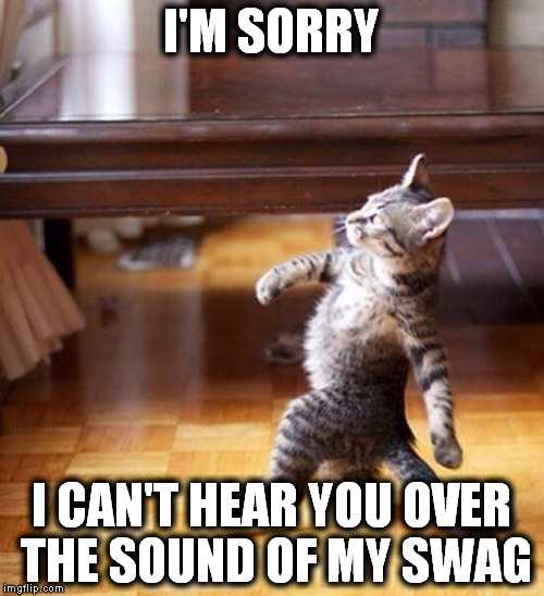 Swag Cat (1) | I'M SORRY I CAN'T HEAR YOU OVER THE SOUND OF MY SWAG | image tagged in memes,swag,walking,weird,cat | made w/ Imgflip meme maker