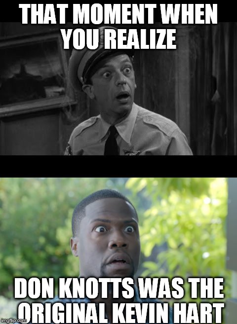 It's True | THAT MOMENT WHEN YOU REALIZE DON KNOTTS WAS THE ORIGINAL KEVIN HART | image tagged in kevin hart,too funny,funny memes | made w/ Imgflip meme maker