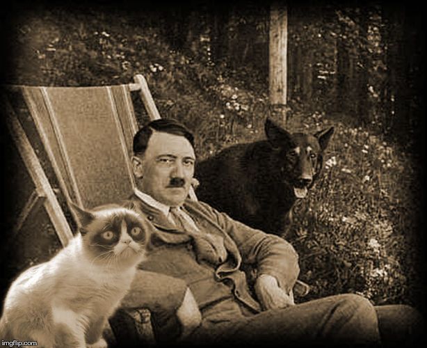 Grumpy Cat with Hitler | . | image tagged in grumpy cat with hitler | made w/ Imgflip meme maker