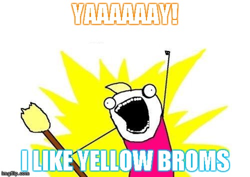 X All The Y | YAAAAAAY! I LIKE YELLOW BROMS | image tagged in memes,x all the y | made w/ Imgflip meme maker