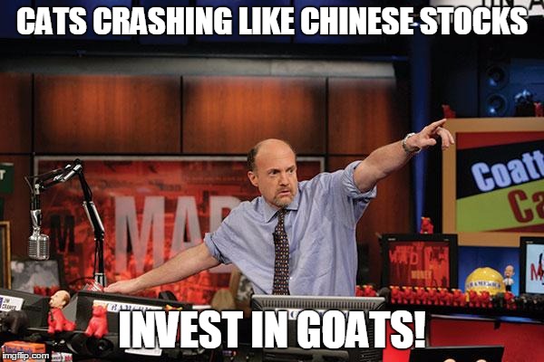 Mad Money Jim Cramer Meme | CATS CRASHING LIKE CHINESE STOCKS INVEST IN GOATS! | image tagged in memes,mad money jim cramer | made w/ Imgflip meme maker