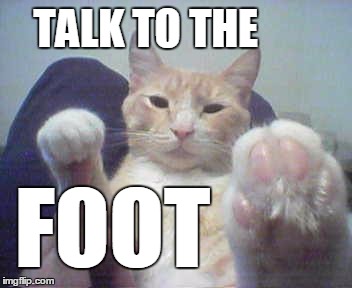 TALK TO THE FOOT | image tagged in cat pads | made w/ Imgflip meme maker