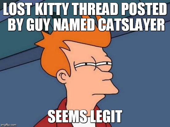 Futurama Fry Meme | LOST KITTY THREAD POSTED BY GUY NAMED CATSLAYER SEEMS LEGIT | image tagged in memes,futurama fry | made w/ Imgflip meme maker