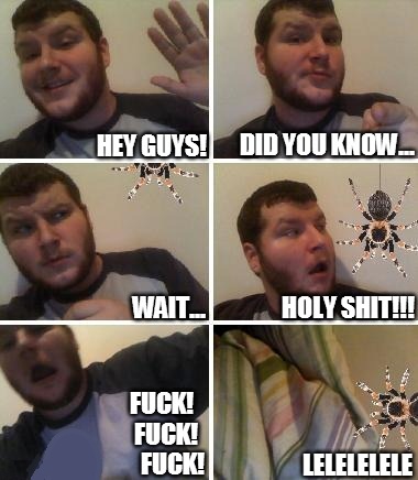 xD | image tagged in funny