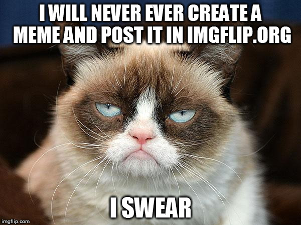 grumpy cat  | I WILL NEVER EVER CREATE A MEME AND POST IT IN IMGFLIP.ORG I SWEAR | image tagged in grumpy cat,imgflip | made w/ Imgflip meme maker