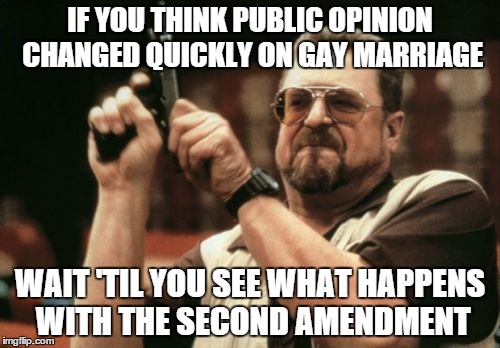 Am I The Only One Around Here Meme | IF YOU THINK PUBLIC OPINION CHANGED QUICKLY ON GAY MARRIAGE WAIT 'TIL YOU SEE WHAT HAPPENS WITH THE SECOND AMENDMENT | image tagged in memes,am i the only one around here | made w/ Imgflip meme maker