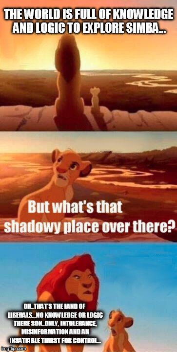 Simba Shadowy Place Meme | THE WORLD IS FULL OF KNOWLEDGE AND LOGIC TO EXPLORE SIMBA... OH..THAT'S THE LAND OF LIBERALS...NO KNOWLEDGE OR LOGIC THERE SON..ONLY, INTOLE | image tagged in memes,simba shadowy place | made w/ Imgflip meme maker