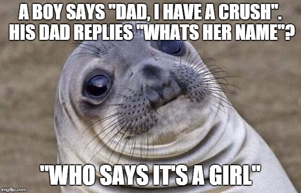 Awkward Moment Sealion | A BOY SAYS "DAD, I HAVE A CRUSH". HIS DAD REPLIES "WHATS HER NAME"? "WHO SAYS IT'S A GIRL" | image tagged in memes,awkward moment sealion | made w/ Imgflip meme maker