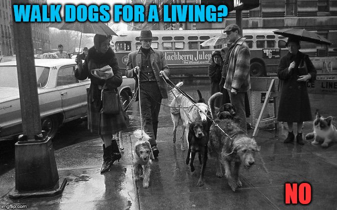 First professional dog walker (1964) | WALK DOGS FOR A LIVING? NO | image tagged in first dog walker,memes,dogs | made w/ Imgflip meme maker