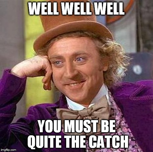 Creepy Condescending Wonka Meme | WELL WELL WELL YOU MUST BE QUITE THE CATCH | image tagged in memes,creepy condescending wonka | made w/ Imgflip meme maker