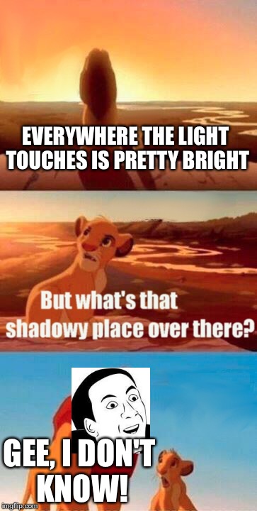 Simba Shadowy Place Meme | EVERYWHERE THE LIGHT TOUCHES IS PRETTY BRIGHT GEE, I DON'T KNOW! | image tagged in memes,simba shadowy place | made w/ Imgflip meme maker