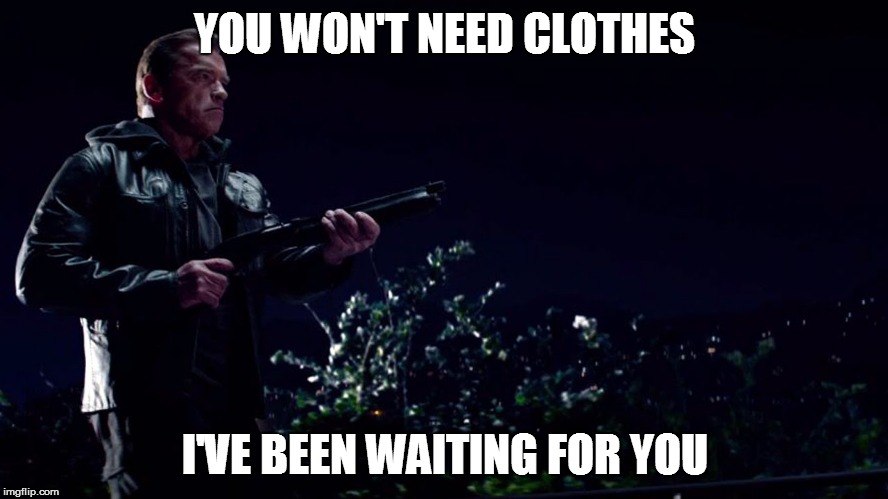 YOU WON'T NEED CLOTHES I'VE BEEN WAITING FOR YOU | image tagged in terminator | made w/ Imgflip meme maker