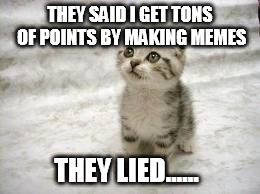 Sad Cat | THEY SAID I GET TONS OF POINTS BY MAKING MEMES THEY LIED...... | image tagged in memes,sad cat | made w/ Imgflip meme maker