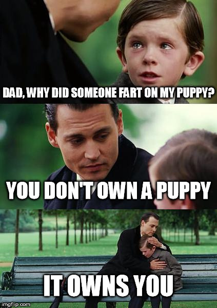 Finding Neverland Meme | DAD, WHY DID SOMEONE FART ON MY PUPPY? YOU DON'T OWN A PUPPY IT OWNS YOU | image tagged in memes,finding neverland | made w/ Imgflip meme maker