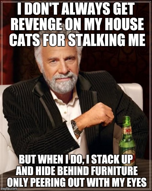 How do "you" like being hunted? Ya little jerks | I DON'T ALWAYS GET REVENGE ON MY HOUSE CATS FOR STALKING ME BUT WHEN I DO, I STACK UP AND HIDE BEHIND FURNITURE ONLY PEERING OUT WITH MY EYE | image tagged in memes,the most interesting man in the world,funny,cats,stalk | made w/ Imgflip meme maker
