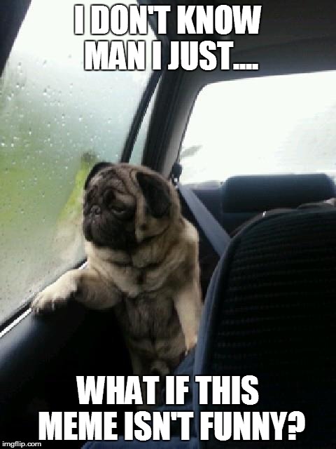 Introspective Pug | I DON'T KNOW MAN I JUST.... WHAT IF THIS MEME ISN'T FUNNY? | image tagged in introspective pug | made w/ Imgflip meme maker