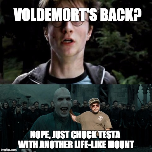Nope! Chuck Testa | VOLDEMORT'S BACK? NOPE, JUST CHUCK TESTA WITH ANOTHER LIFE-LIKE MOUNT | image tagged in chuck testa,harry potter | made w/ Imgflip meme maker