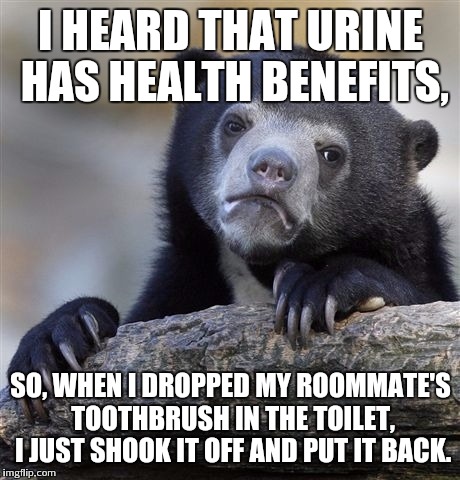 Confession Bear Meme | I HEARD THAT URINE HAS HEALTH BENEFITS, SO, WHEN I DROPPED MY ROOMMATE'S TOOTHBRUSH IN THE TOILET, I JUST SHOOK IT OFF AND PUT IT BACK. | image tagged in memes,confession bear | made w/ Imgflip meme maker