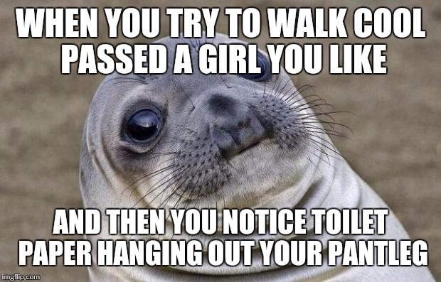 Awkward Moment Sealion | WHEN YOU TRY TO WALK COOL PASSED A GIRL YOU LIKE AND THEN YOU NOTICE TOILET PAPER HANGING OUT YOUR PANTLEG | image tagged in memes,awkward moment sealion | made w/ Imgflip meme maker