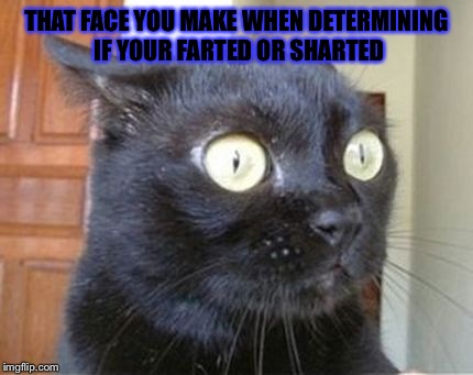 Surprised  | THAT FACE YOU MAKE WHEN DETERMINING IF YOUR FARTED OR SHARTED | image tagged in surprised | made w/ Imgflip meme maker