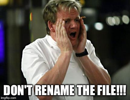 ramsay wtf | DON'T RENAME THE FILE!!! | image tagged in ramsay wtf | made w/ Imgflip meme maker