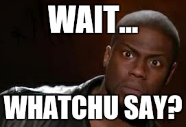 Kevin Hart Meme | WAIT... WHATCHU SAY? | image tagged in memes,kevin hart the hell | made w/ Imgflip meme maker