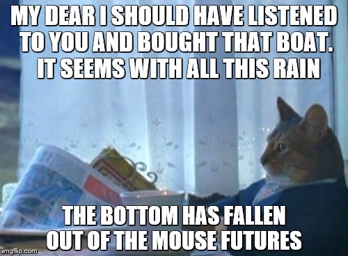 I Should Buy A Boat Cat Meme | MY DEAR I SHOULD HAVE LISTENED TO YOU AND BOUGHT THAT BOAT.  IT SEEMS WITH ALL THIS RAIN THE BOTTOM HAS FALLEN OUT OF THE MOUSE FUTURES | image tagged in memes,i should buy a boat cat | made w/ Imgflip meme maker