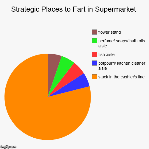 Fart Chart | image tagged in funny,pie charts,fart | made w/ Imgflip chart maker