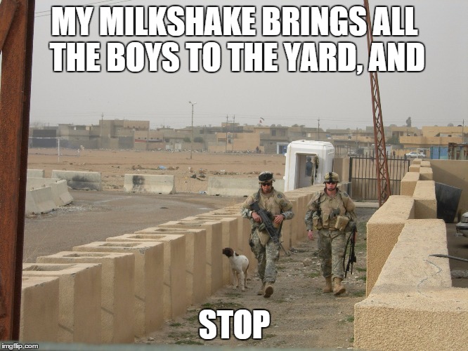 MY MILKSHAKE BRINGS ALL THE BOYS TO THE YARD, AND STOP | image tagged in iraq,milkshake | made w/ Imgflip meme maker