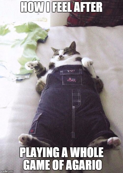 Fat Cat | HOW I FEEL AFTER PLAYING A WHOLE GAME OF AGARIO | image tagged in memes,fat cat | made w/ Imgflip meme maker