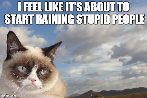 Grumpy Cat Sky Meme | I FEEL LIKE IT'S ABOUT TO START RAINING STUPID PEOPLE | image tagged in memes,grumpy cat sky,grumpy cat | made w/ Imgflip meme maker