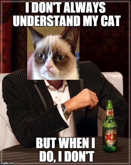 Thug life cat | I DON'T ALWAYS UNDERSTAND MY CAT BUT WHEN I DO, I DON'T | image tagged in memes,the most interesting man in the world,grumpy cat | made w/ Imgflip meme maker