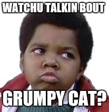 WATCHU TALKIN BOUT GRUMPY CAT? | made w/ Imgflip meme maker