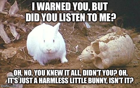 I WARNED YOU, BUT DID YOU LISTEN TO ME? OH, NO, YOU KNEW IT ALL, DIDN'T YOU? OH, IT'S JUST A HARMLESS LITTLE BUNNY, ISN'T IT? | image tagged in bunny | made w/ Imgflip meme maker