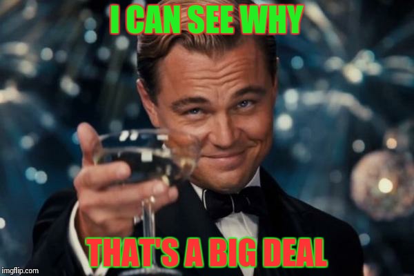 Leonardo Dicaprio Cheers Meme | I CAN SEE WHY THAT'S A BIG DEAL | image tagged in memes,leonardo dicaprio cheers | made w/ Imgflip meme maker